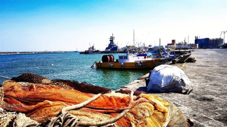 Pesca al porto di Catania
