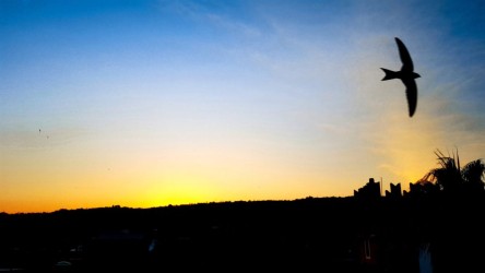 Tramonto Catanese